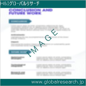 グローバルリサーチ調査レポートのイメージ